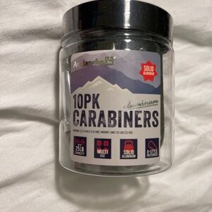 Avalanche 10 Pack Carabiners